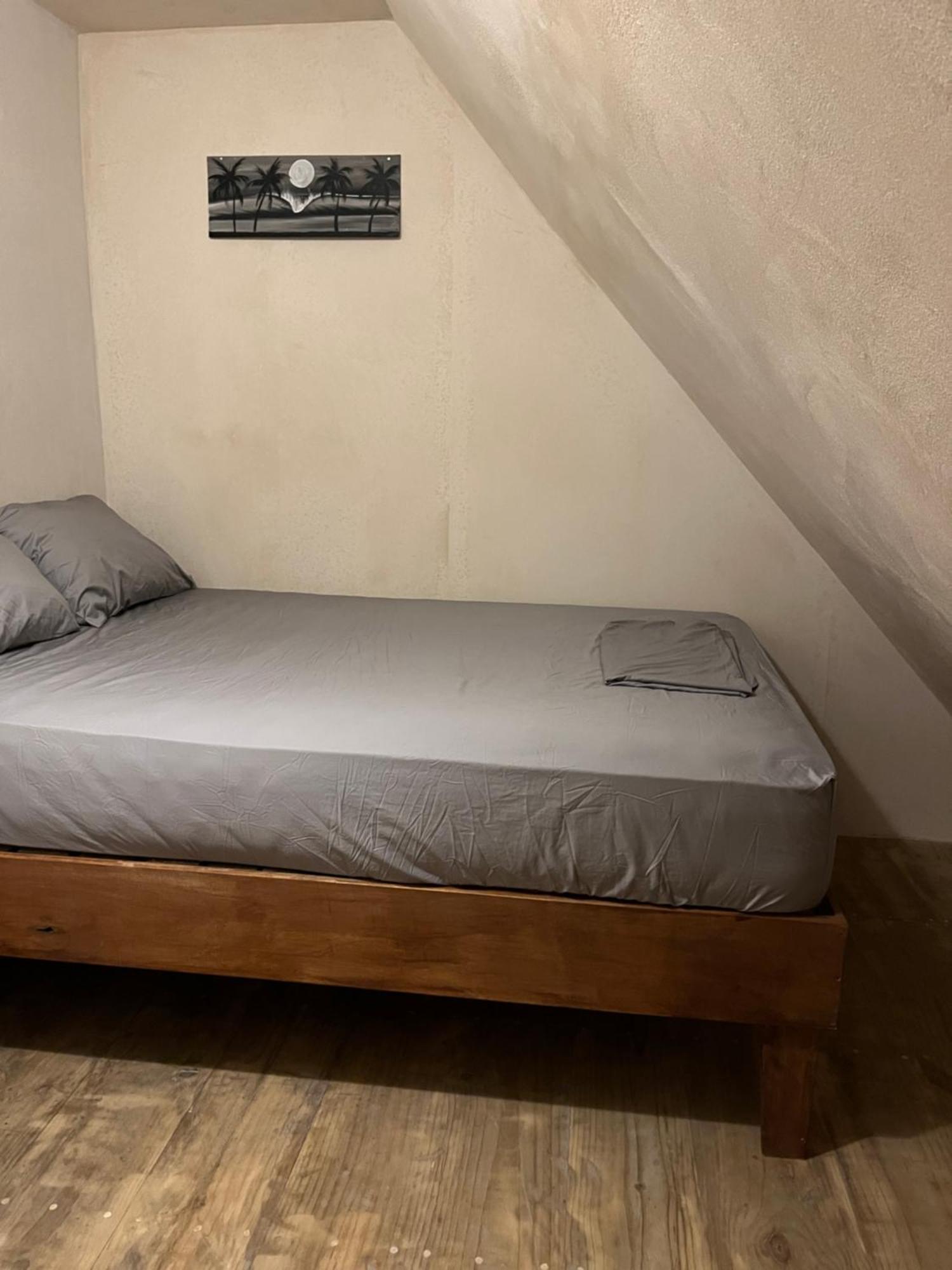 Hostel Tuanis Surf Camp Playa Santa Teresa  Luaran gambar